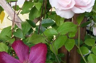 Wohnung kaufen in 51709 Marienheide, Marienheide - Eigentumswohnung nahe der Bruchertalsperre zu verkaufen