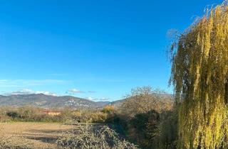 Wohnung kaufen in 68526 Ladenburg, Ladenburg - Dachgeschosswohnung mit Traumblick! 4Z, TLB, EBK, TERRASSE, KAMIN