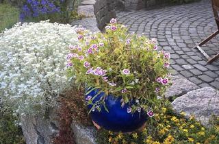 Haus kaufen in 29556 Suderburg, Suderburg - Haus im Herzen von Suderburg - ein echtes Juwel