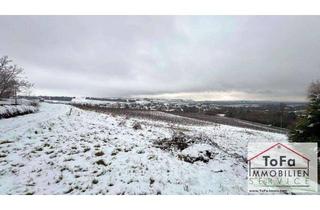Wohnung kaufen in Am Sonnenhang, 55288 Partenheim, ToFa: Terrassenwohnung inkl. Stellplatz und hochwertiger Einbauküche