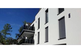 Penthouse kaufen in 55411 Bingen, Schuch Immobilien – Exklusives Penthouse mit Dachterrasse in Bingen-Büdesheim