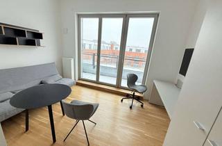 Wohnung mieten in Carl-Spindler-Strasse 15, 12555 Köpenick, Dachterrasse mit EBK und Klimaanlage direkt an der Spree!