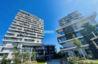 Wohnung mieten in 99084 Altstadt, antaris Immobilien GmbH ** Moderne 4-Raum-Wohnung mit Terrasse **