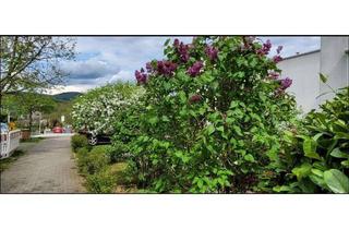 Wohnung mieten in Waldallee 7.42, 65817 Eppstein, 3,5 Zimmerwohnung mit Terrasse im grünen Eppstein Bremthal