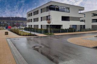 Wohnung mieten in 74392 Freudental, Hochwertige 3-Zimmer-Neubauwohnung mit Balkon, TG-Stellplatz & Aufzug – Erstbezug 2024