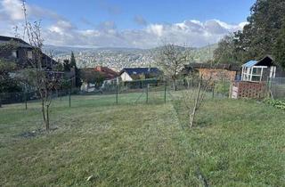Haus kaufen in 35745 Herborn, Charmantes Haus mit 3 Wohnungen Waldrandlage - Panoramablick mit Stadtnähe und flexible Nutzung