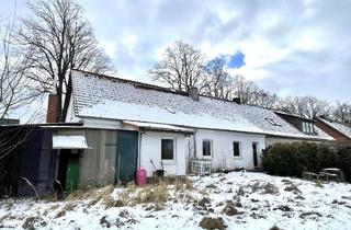 Doppelhaushälfte kaufen in 17089 Bartow, Platz für Ideen: Doppelhaushälfte mit Ausbaupotenzial in ruhiger Lage