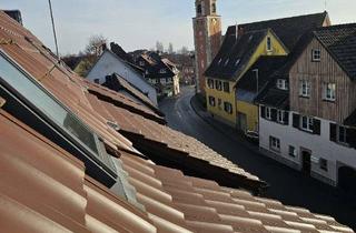 Doppelhaushälfte kaufen in 78476 Allensbach, 3-Familien-Doppelhaushälfte mit Nebengebäude im Hinterhof in zentraler Ortslage von Alle