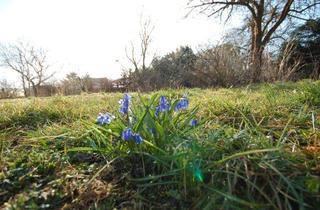 Grundstück zu kaufen in 15913 Märkische Heide, Baugrundstück im Spreewald - in Wassernähe gelegen -