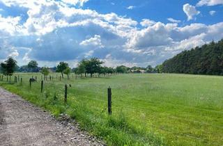 Grundstück zu kaufen in 29693 Hodenhagen, Attraktives Grundstück mit Grünland, Wald- und Gewerbefläche