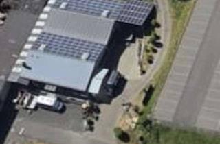 Praxen mieten in Am Streitwald, 56856 Zell, Gewerbe Halle für Handwerk, Praxis oder Verkauf in Zell - Barl