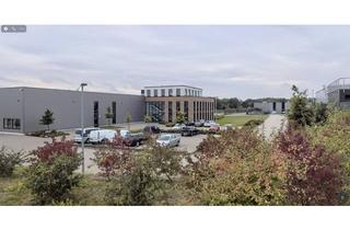 Büro zu mieten in 49324 Melle, TOP Gelegenheit, Gewerbefläche in Melle, 700m2 moderne Hallenfläche, plus 316m2 Bürofläche
