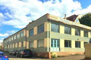 Gewerbeimmobilie kaufen in 66953 Pirmasens, Produktionshalle – Bauplatz – zwei Zufahrten – Sanierungsgebiet