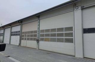 Gewerbeimmobilie kaufen in Gewerbestraße, 88690 Uhldingen-Mühlhofen, Sie brauchen Platz - wir haben die passenden Lagerflächen!