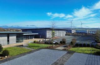 Gewerbeimmobilie kaufen in Hohe Kamp 44, 33175 Bad Lippspringe, Gewerbehalle an der B1 – Lager | Ausstellung | Freifläche