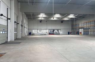 Gewerbeimmobilie mieten in 50389 Wesseling, Logistikhalle mit Rampen und ebenerdiger Andienung