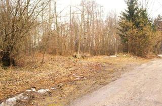 Grundstück zu kaufen in 82407 Wielenbach, Ruhig gelegenes Baugrundstück am Waldrand! Naturnah Bauen in 82407 Wielenbach