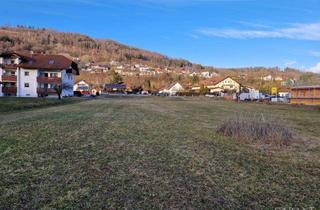 Grundstück zu kaufen in 94130 Obernzell, Wohn- und Gewerbegrundstück für Bauträger!