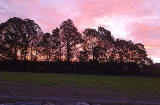 Grundstück zu kaufen in 95497 Goldkronach, Nähe Bth., Fantastischer Blick ins Grüne, angrenzend Wiesen und Felder
