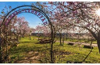 Grundstück zu kaufen in 67435 Gimmeldingen, Wohnen im atmospärischen Gimmeldingen - Abrissimmobilie