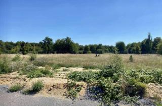 Grundstück zu kaufen in Krondorfer Wiesen 87, 06766 Bitterfeld-Wolfen, Bauträgerfreies Baugrundstück! Nächstes Jahr im Eigenheim?