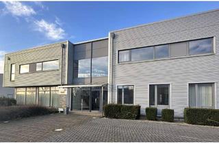 Büro zu mieten in Daimlerstraße 5-8, 48477 Hörstel, Moderne Büroflächen in attraktiver Lage