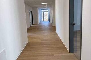 Büro zu mieten in Max-Eyth-Strasse, 78239 Rielasingen-Worblingen, Moderne Büroräumlichkeiten an zentraler Lage – Jetzt mieten!
