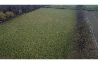 Gewerbeimmobilie mieten in 48291 Telgte, Ca. 3,9 ha Ackerland in West- und Ostbevern