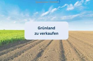 Gewerbeimmobilie kaufen in 86424 Dinkelscherben, Grünland "Hohe Reute" zu verkaufen (nicht verpachtet!)