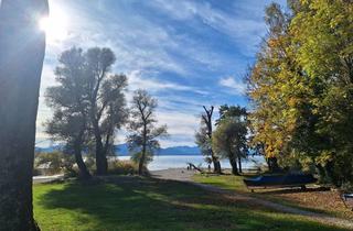 Wohnung kaufen in 83339 Chieming, Chiemsee : Wohnperle mit 50m2 mediterraner Terrasse und 18m2 Hobbyraum