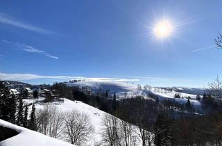 Wohnung kaufen in Auf Der Höhe 31/33, 37444 St. Andreasberg, In bester Lage: Traumhafter Blick von der Loggia, saniertes Badezimmer und eine Garage