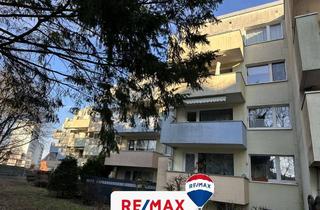 Wohnung kaufen in 29225 Celle, Top-Schnitt. Top-Zustand! (JS-1020-184)