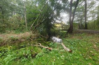 Wohnung mieten in Lion-Feuchtwanger-Straße, 18435 Stralsund, NACHMIETER gesucht: attraktive 3-Zimmer-Wohnung, 5. OG, in Stralsund