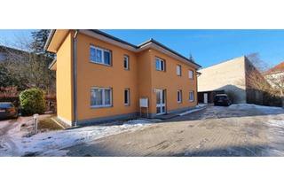 Wohnung mieten in Karl-Marx-Platz 10a, 17489 Innenstadt, ANNAHMESTOPP - 2-Zimmer Wohnung im EG in Greifswald Innenstadt