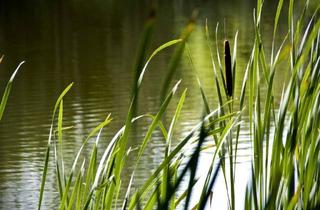 Wohnung mieten in Kinzigstraße 33, 77756 Hausach, Traumhaft Wohnen am Kanal