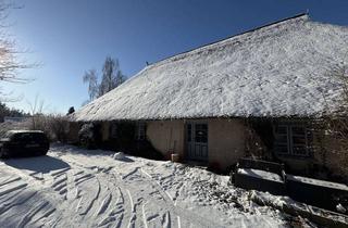 Wohnung mieten in Friedensstraße 15, 19306 Brenz, Charmante 4-Zimmer-Wohnung im Reetdachhaus mit Terrasse, Garten & Obstbäumen in Alt-Brenz