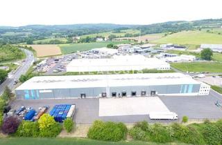 Gewerbeimmobilie mieten in 36381 Schlüchtern, Im Alleinauftrag: Lager/ Logistik - 7x Rampe - 8,00m UKB