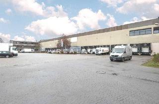 Gewerbeimmobilie mieten in 63128 Dietzenbach, Logistik - 8x Rampe - 11,00m UKB
