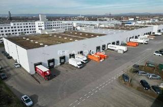 Gewerbeimmobilie mieten in 65474 Bischofsheim, Lager- / Logistikflächen - 8,50 m UKB - 6x Rampe