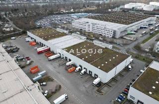 Gewerbeimmobilie mieten in 65462 Ginsheim-Gustavsburg, Im Alleinauftrag: Lager- / Logistikflächen - flexibel teilbar - 12x Rampe