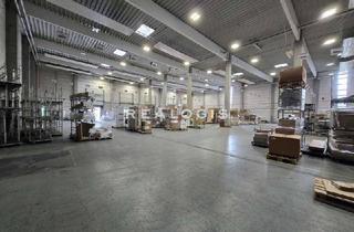 Gewerbeimmobilie mieten in 65462 Ginsheim-Gustavsburg, Im Alleinauftrag: Lager- / Logistikflächen - flexibel teilbar - 12x Rampe