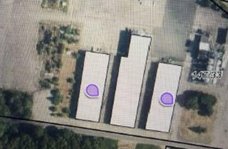 Gewerbeimmobilie mieten in Am Flugplatz, 17389 Anklam, NEU massive Lagerhallen in Anklam zu vermieten, viel Platz für Hochregale , Baustoffe uvm. NEU