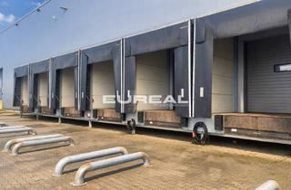 Gewerbeimmobilie mieten in 47638 Straelen, Gekühlte Logistikhalle | 16 Rampen | ebenerdiges Tor | 24/7 Nutzung | ab sofort
