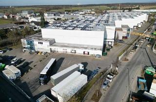Gewerbeimmobilie mieten in 63110 Rodgau, Exklusiv im Alleinauftrag: Logistik - 12x Rampe - 11,00m UKB