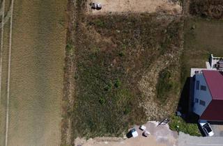 Grundstück zu kaufen in An Der Streuobstwiese 319, 38324 Kissenbrück, JETZT oder NIE: Das letzte freie Traumgrundstück in endausgebautem Neubaugebiet sichern!