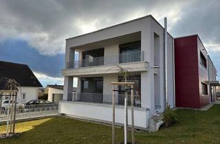 Wohnung mieten in 89177 Ballendorf, Moderne Wohnung mit viel Licht - Einbauküche und TG Stellplatz