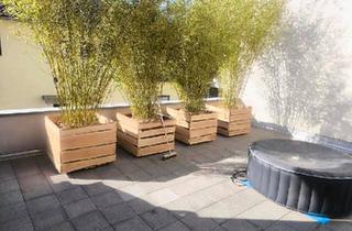 Wohnung kaufen in 65529 Waldems, Waldems - 2 Zimmer ETW