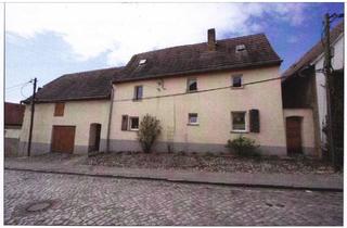 Einfamilienhaus kaufen in 06425 Alsleben, Alsleben (Saale) - Einfamilienhaus