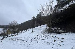 Grundstück zu kaufen in 92268 Etzelwang, Etzelwang - TRAUMHAFTER AUSBLICK IN NATURNAHER IDYLLE