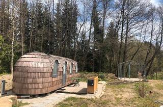 Haus kaufen in 95694 Mehlmeisel, Mehlmeisel - Tinyhouse mit Erstwohnsitz auf Pachtgrund mit Womo Stellplatz